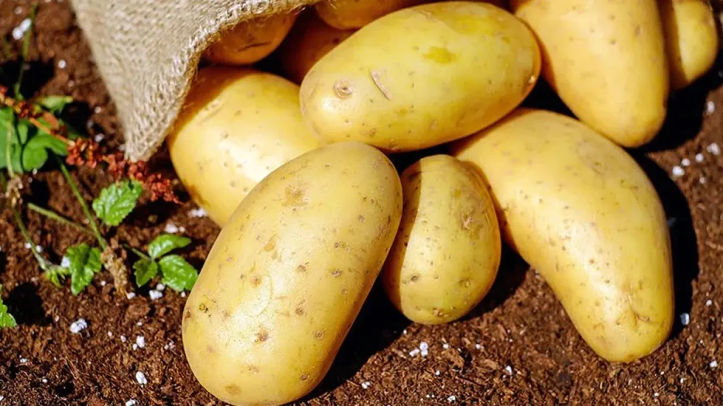 Patates fiyatları yüzde 700 fırladı: küresel kriz ve Hürmüz etkisi